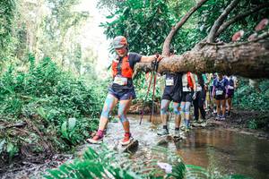 BIB: 
                            <button type="button" onclick="openModal(25514493)" class="btn btn-primary btn-sm float-right btn-popup" data-toggle="modal" data-target=".modal-high-quality">
                        <i class="fas fa-shopping-cart"></i> Add to Cart
                    </button>
                                            <button type="button" onclick="isThisMe(25514493, true)" class="btn btn-success btn-sm float-right btn-popup btn-isme hidden" data-toggle="tooltip" data-placement="bottom" title="นี่คือรูปของคุณใช่ไหม คลิกที่นี่เพื่อเอาเข้าอัลบั้ม">
                        <i class="fas fa-plus"></i> Add to album
                    </button>
                    <button type="button" onclick="isThisMe(25514493, false)" class="btn btn-warning btn-sm float-right btn-popup btn-isnotme hidden">
                        <i class="fas fa-ban"></i> Remove from album
                    </button>